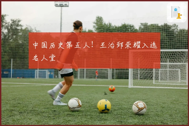 中国历史第五人！王治郅荣耀入选名人堂