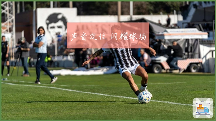 声音定位 闪耀球场