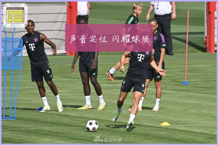 声音定位 闪耀球场
